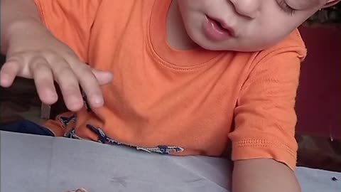 Boy Prays Over Dying Chick