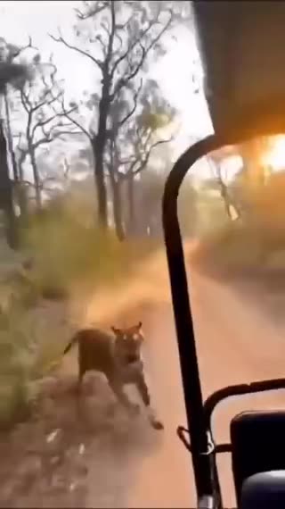 Very serious video 😲🌺