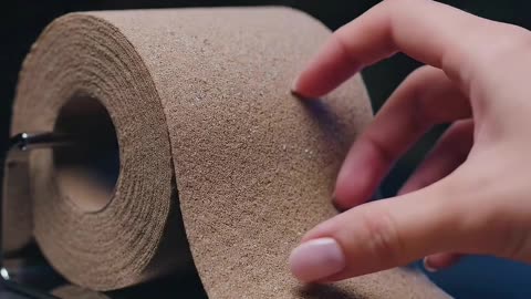 Crazy Toilet Paper Made By Sand... #viral