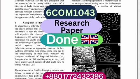 Student Work (Research)|6COM1043 Robot Trace Simulation & AI-Based Behavior Mapping|BSc AI Sheffield