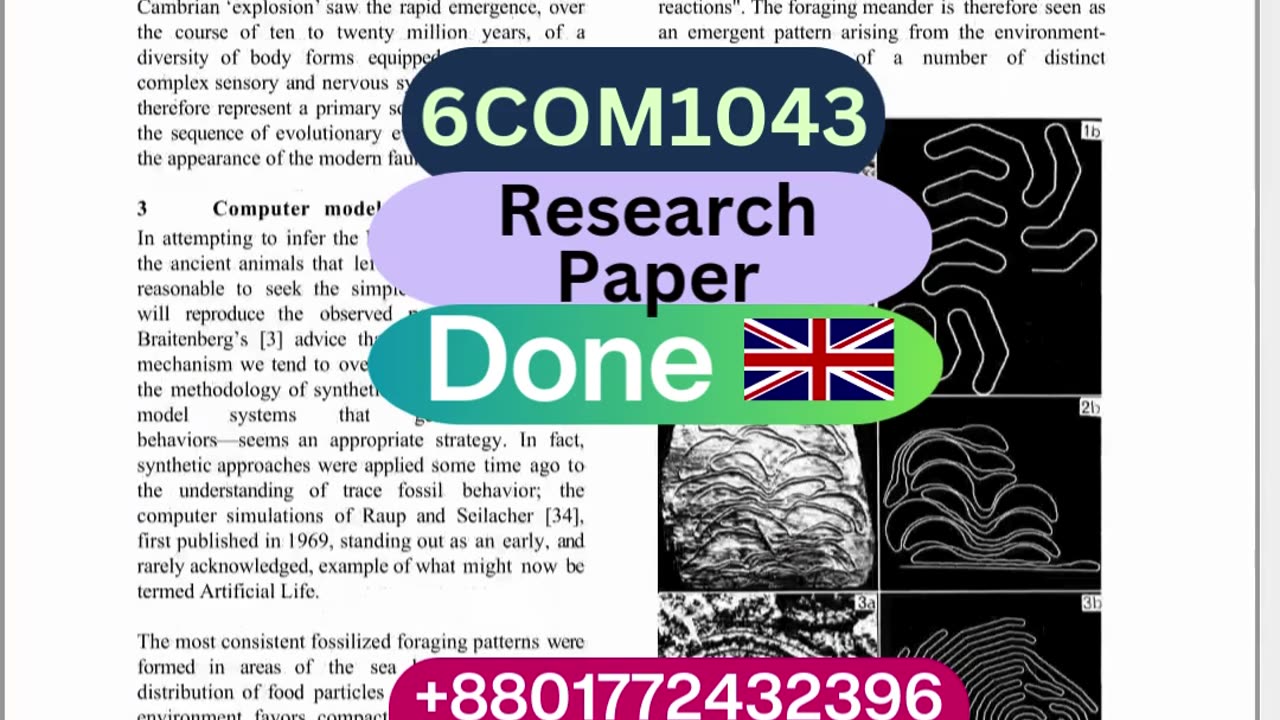 Student Work (Research)|6COM1043 Robot Trace Simulation & AI-Based Behavior Mapping|BSc AI Sheffield