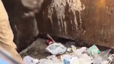 Feeding Rocky Racoon (1)
