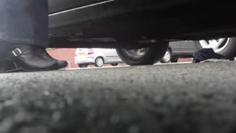 Candid Snail Crush Under Board