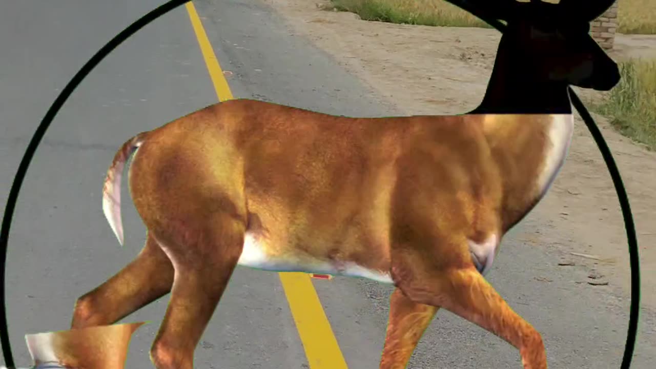 Fix the deer neck and done in inbox