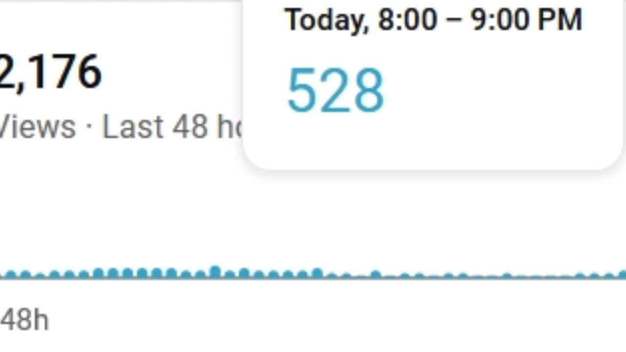 YouTube caught me deleting views from the channel.
