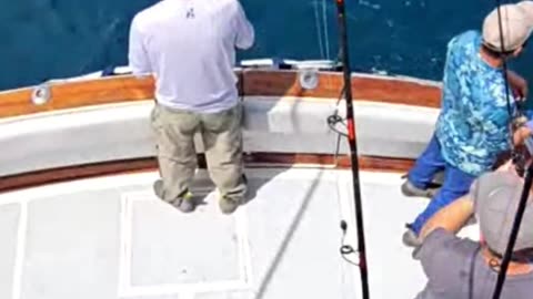 Get the Weekly SoCal Fishing Gameplan! #743