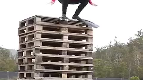 animals funnyvideo