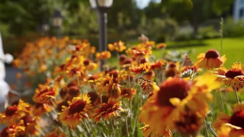 12 Medicinal Plants That Have Natural Antibiotic Effects Without Any Side Effects