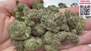 Purple Push Pop and Super Runtz from Lit Farms! Dankin with the Flamingos Review!!
