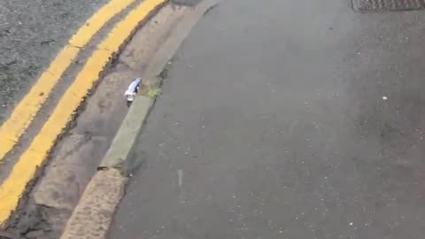 Well Well Well the truth always prevails. - Ay_audits