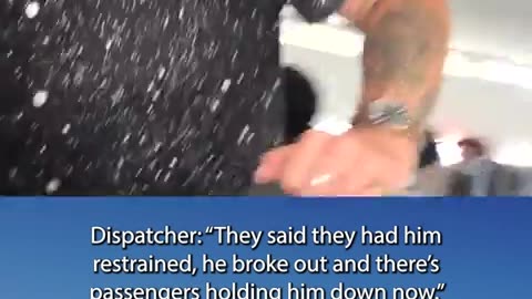 😂✈️ You Won't Believe How This Airline Rampage Keeps Going! | FunFM