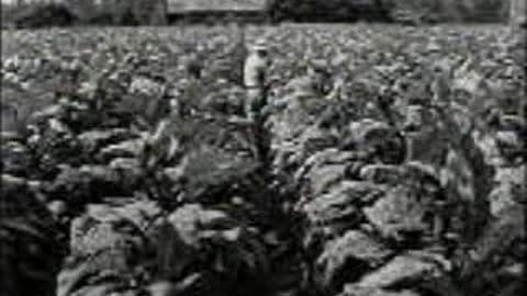 Commercial - Lucky Strike Cigarettes (Man, thats fine tobacco)