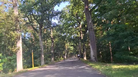 The Grunewald Forest in Berlin, Germany Part 1