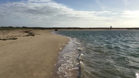Boat Tour (Ria Formosa Natural Park, Algarve, Portugal) 1