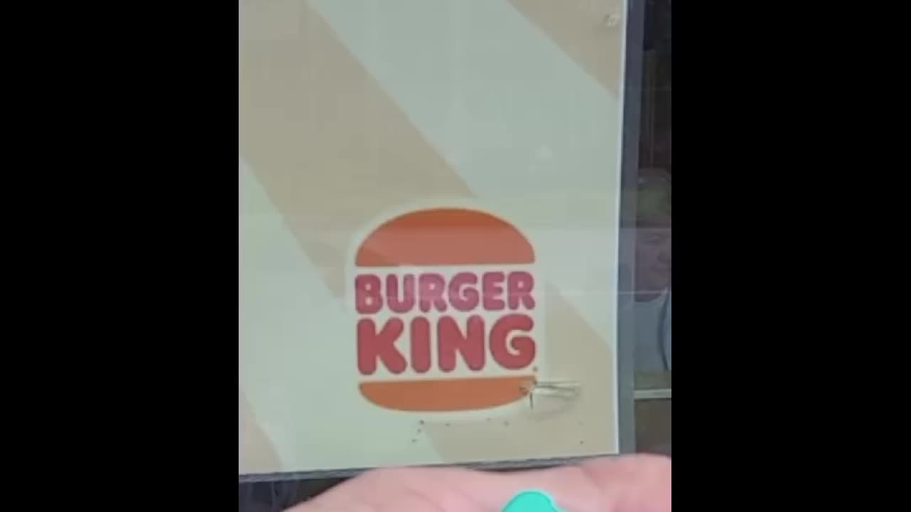 When Pho > Burger King — And the Qi Meter Knows It
