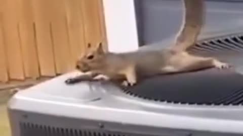 😂🔥 He's Feeling It! Watch This Hilarious Moment | FunFM