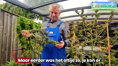 Nol van Schaik ontsnapt aan zijn arrestatie.