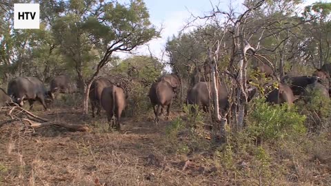 Exploring Beautiful Places the Right Way