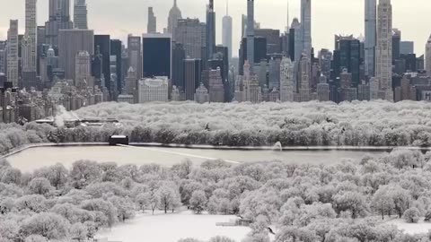 Central Park was blanketed in snow this weekend as New York City experienced