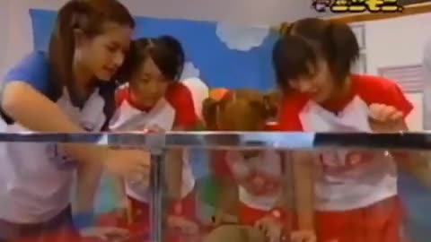 😂🌟 The Most Famous Japanese Entertainment Show! | FunFM
