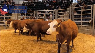 Trent Loos in the Morning 6/18/2025