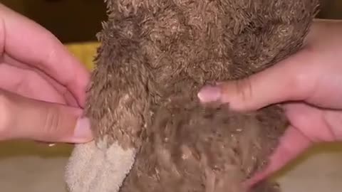 😂🔥 You Won't Believe What the Internet Is For! | FunFM
