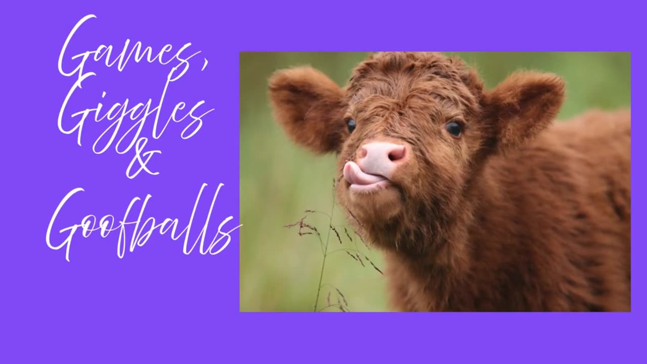 Games, Giggles & Goofballs-Saturday Evening