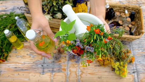 Unlocking the Power of Synergy in Herbal Medicine