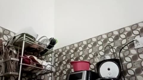 Compilation of Vietnamese 
