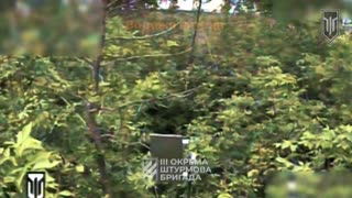 💥🛸 Ukraine Russia War | Third Assault Brigade Strikes Russian Guns in Kharkiv | RCF