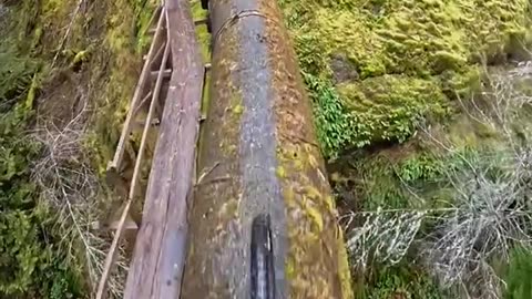Riding the Edge: Mountain Biking on a Mossy Pipeline Trail
