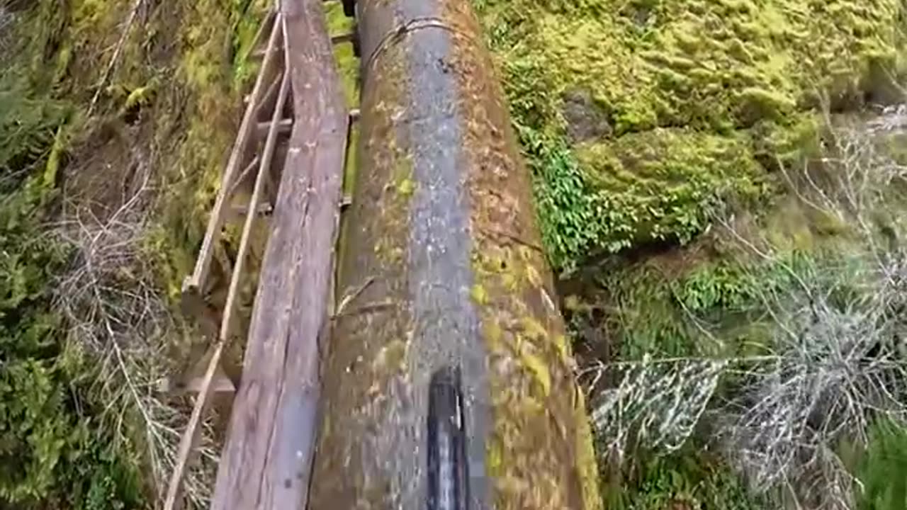 Riding the Edge: Mountain Biking on a Mossy Pipeline Trail