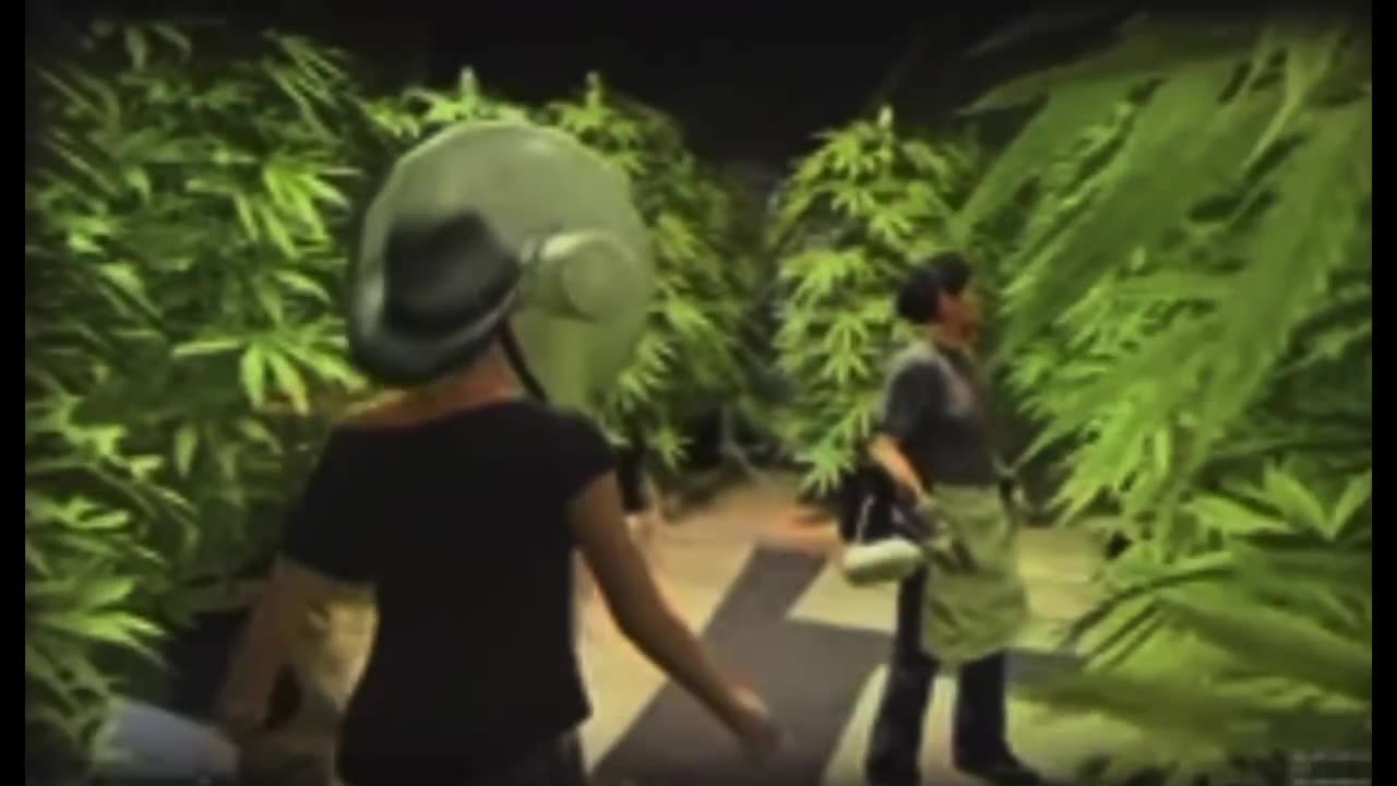 GTA 5 - Our Online Girl Having An Awesome Trip Enjoying Some 4:20 Time