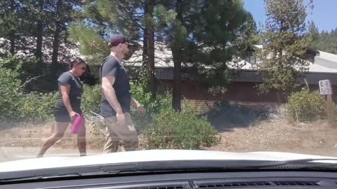 Shia, video recorded 1:00 PM August 10 , '25 Part 3-3 by Alyssa Sequoia National Park