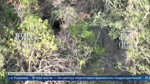 Выпуск новостей в 15 00 от 12.08.2025