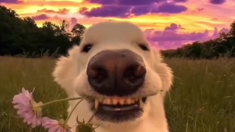 Well Hello There