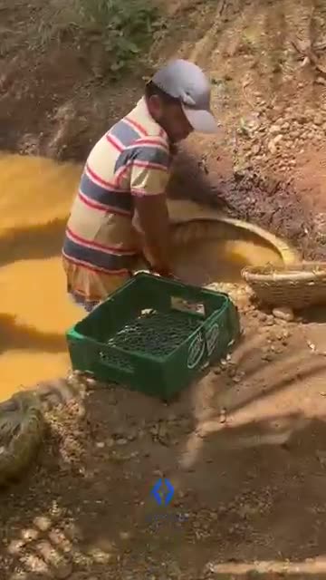 Precious Gems Sri Lanka Gems.!👍