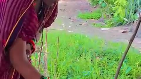 Uttarbanga Mein Hi kha lo chabana