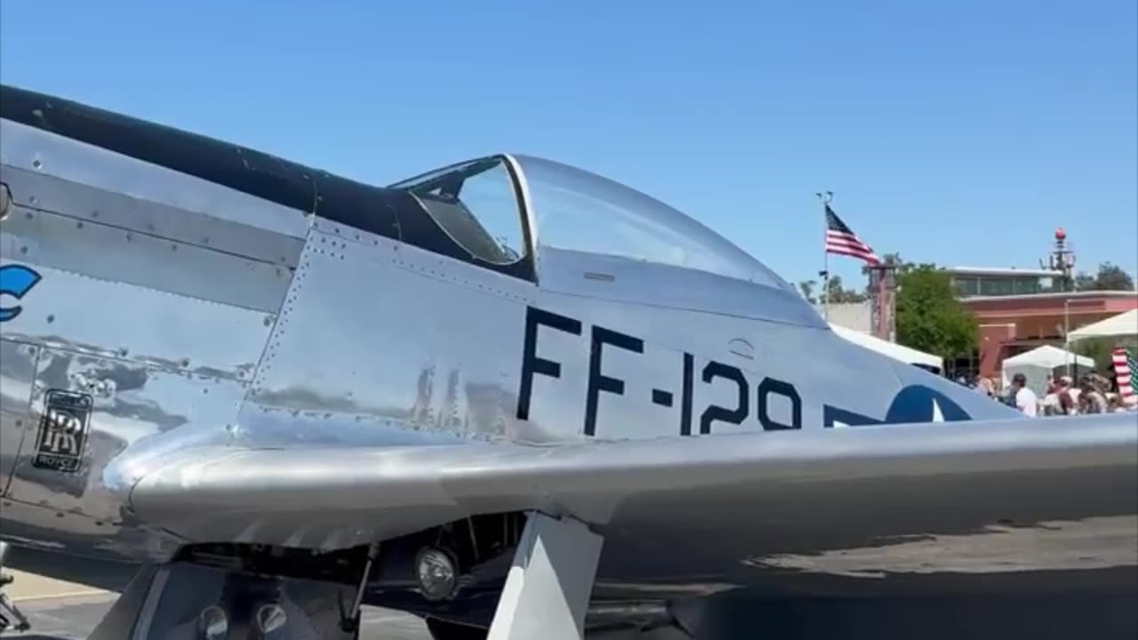 P-51 The Warbird That Changed The Face Of Aerial Warfare