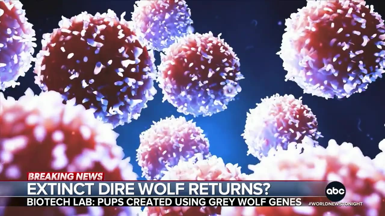 Scientists Bring Back Dire Wolf After 13,000 Years – Jurassic Park Is Real?!
