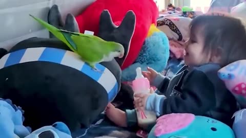 "Babies & Animals: The Cutest Friendships Ever!"