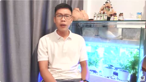 Quê Hương VN Hôm Nay Thế Nào Những Người Trẻ Nghĩ Và Nói Gì