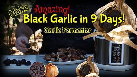 Black Garlic in only 9 days / It's Amazing!