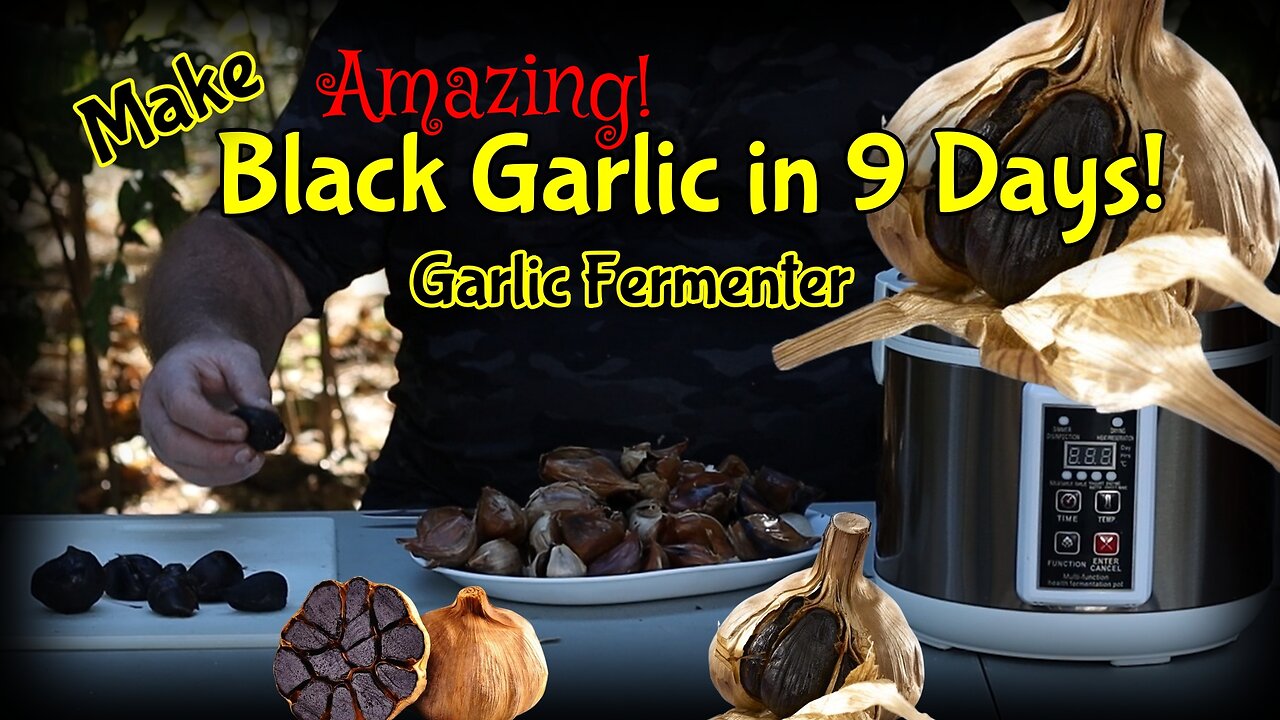Black Garlic in only 9 days / It's Amazing!