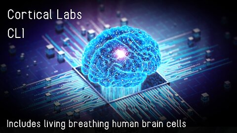 Synthetic Biological Intelligence