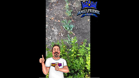 Garden 2025 UPdate 10