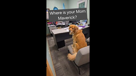 Where is your Mom?