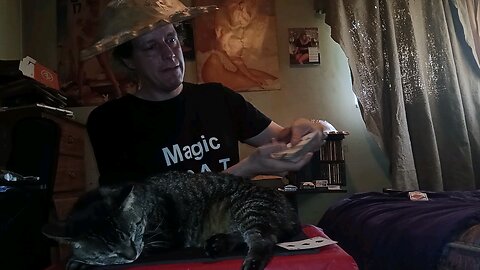 Magic With My Cat