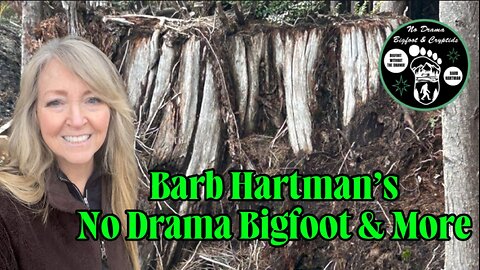 Bigfoot Loves to Watch Us!