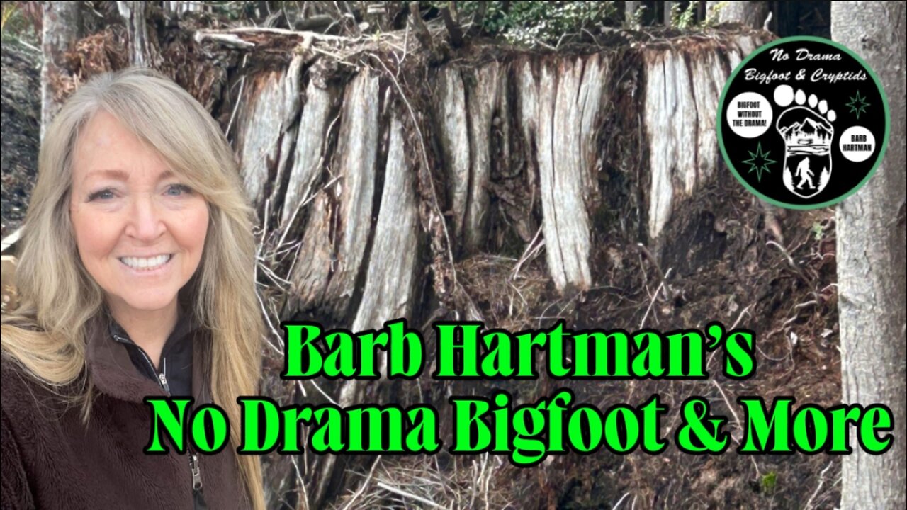 Bigfoot Loves to Watch Us!